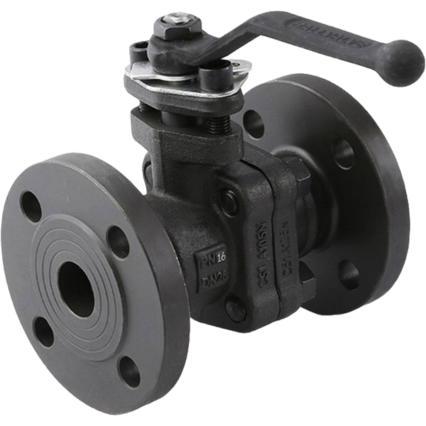Forged steel valves